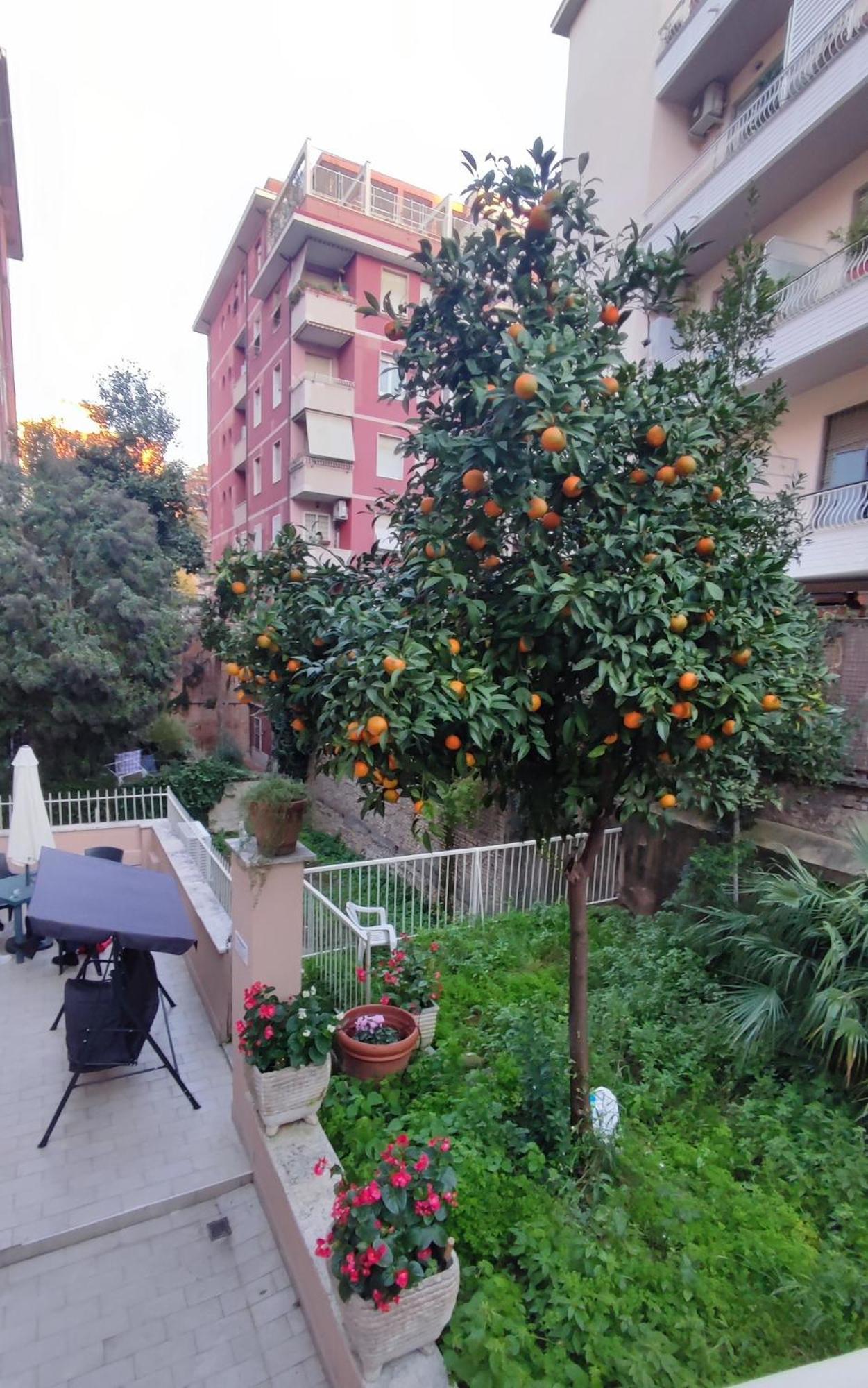Vatican Green Garden Рим Екстериор снимка