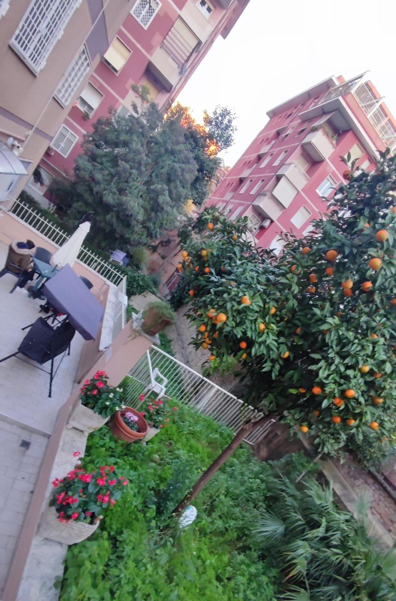 Vatican Green Garden Рим Екстериор снимка